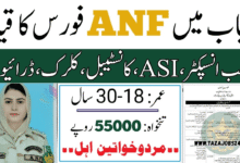 ANF Jobs