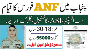 ANF Jobs