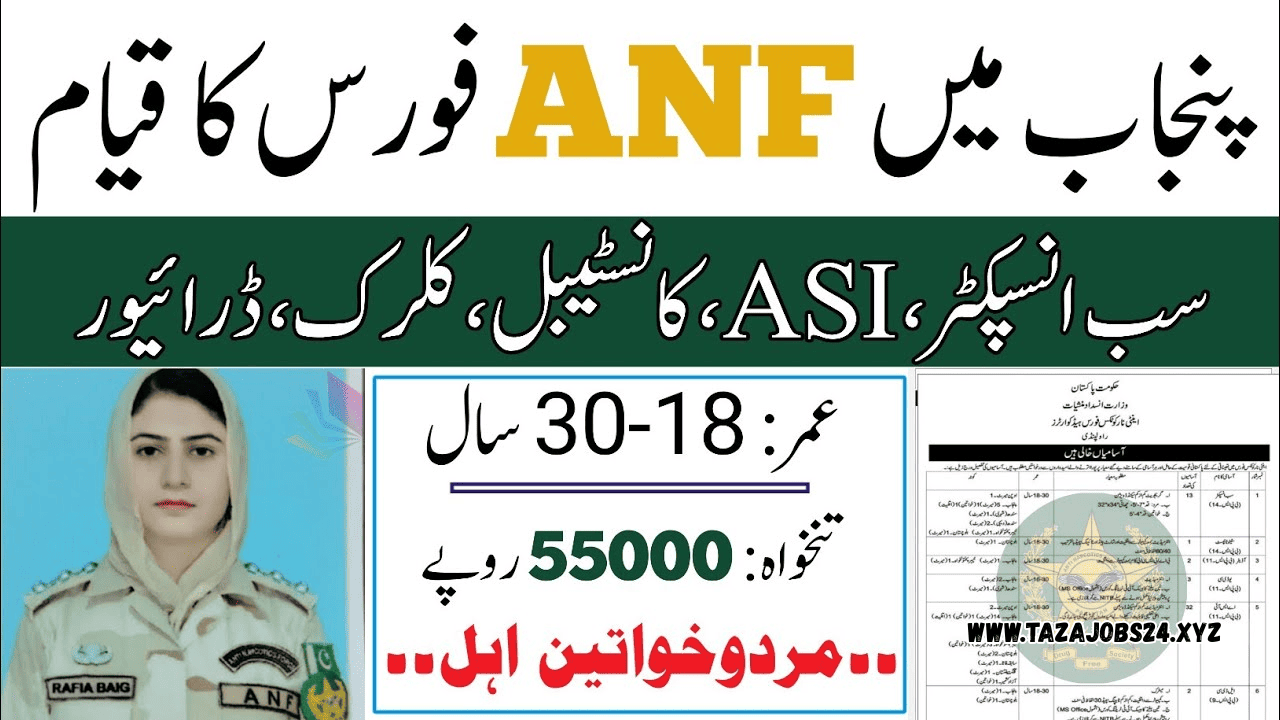 ANF Jobs