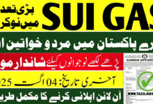 Sui Gas Jobs