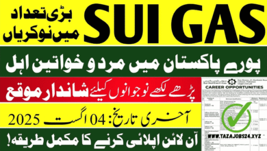 Sui Gas Jobs