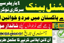 NBP Jobs